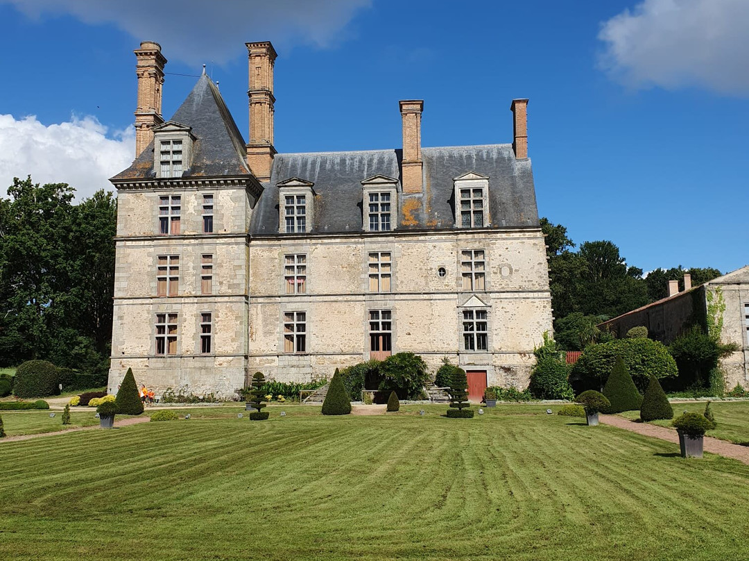 Chateau de la Guignardiere景点图片