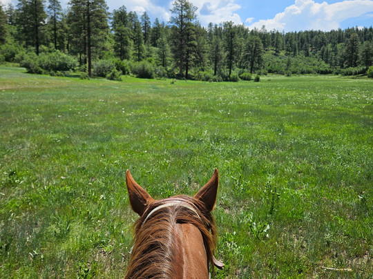 Majestic Outfitters-帕戈萨斯普林斯必去景点