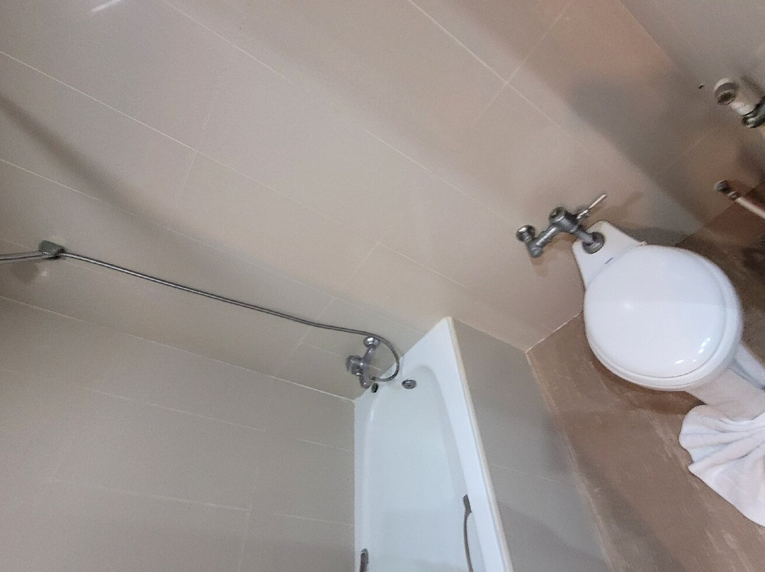 绿野宫廷酒店主图