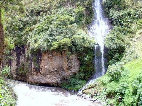 Parque Nacional Natural Los Nevados-Manizales必去景点