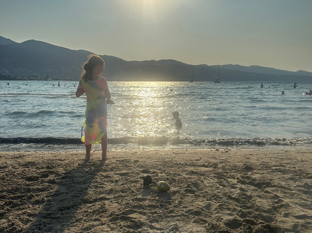 Alykanas Beach景点图片