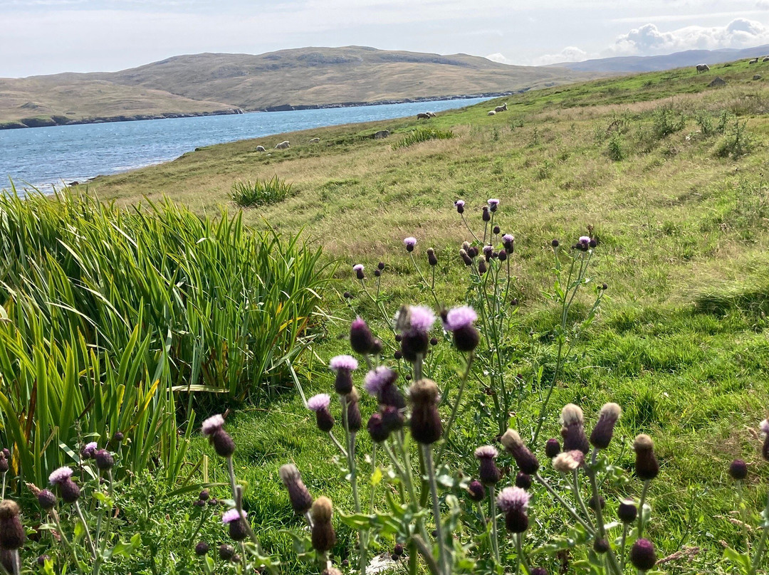 Hillswick Wildlife Sanctuary景点图片
