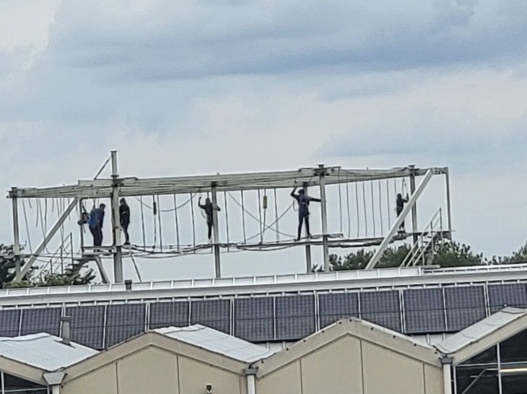 Planters Sky Trail Adventure-塔姆沃思必去景点