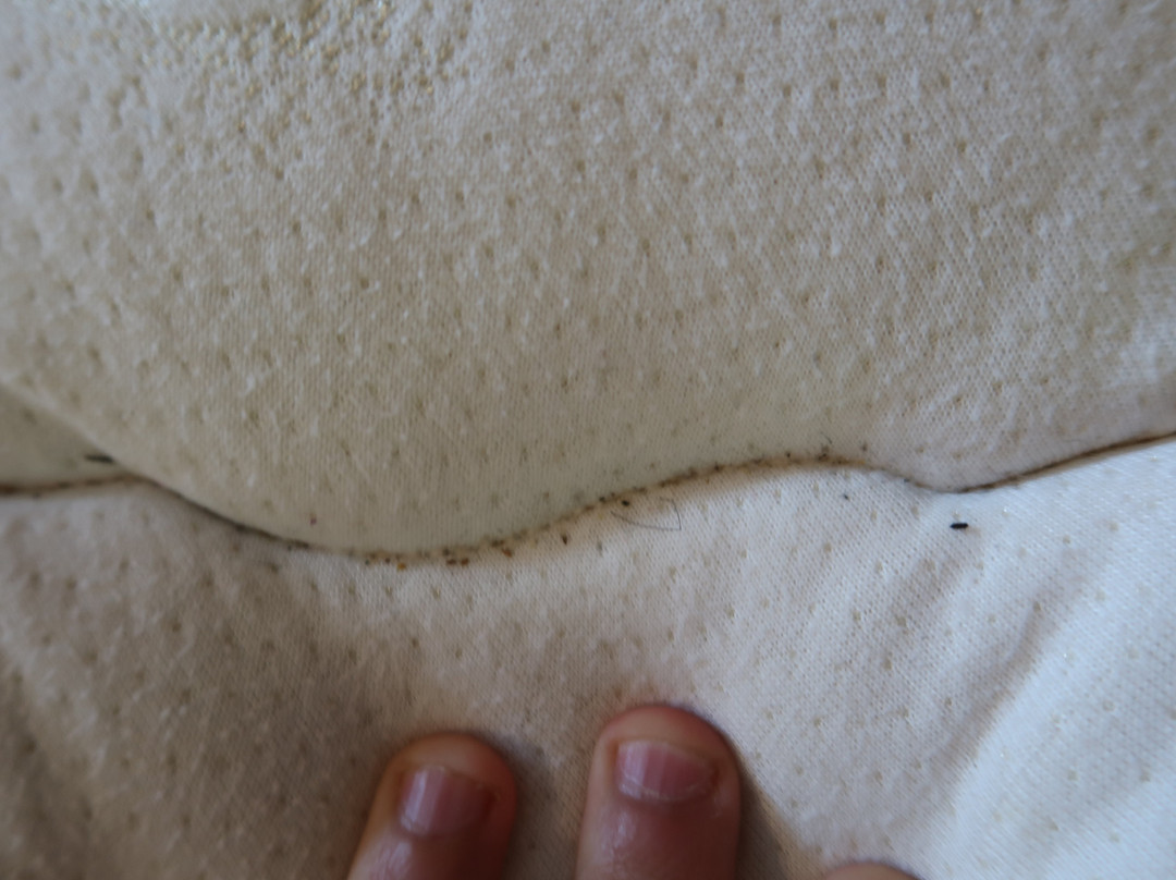 Algonquin Motel主图