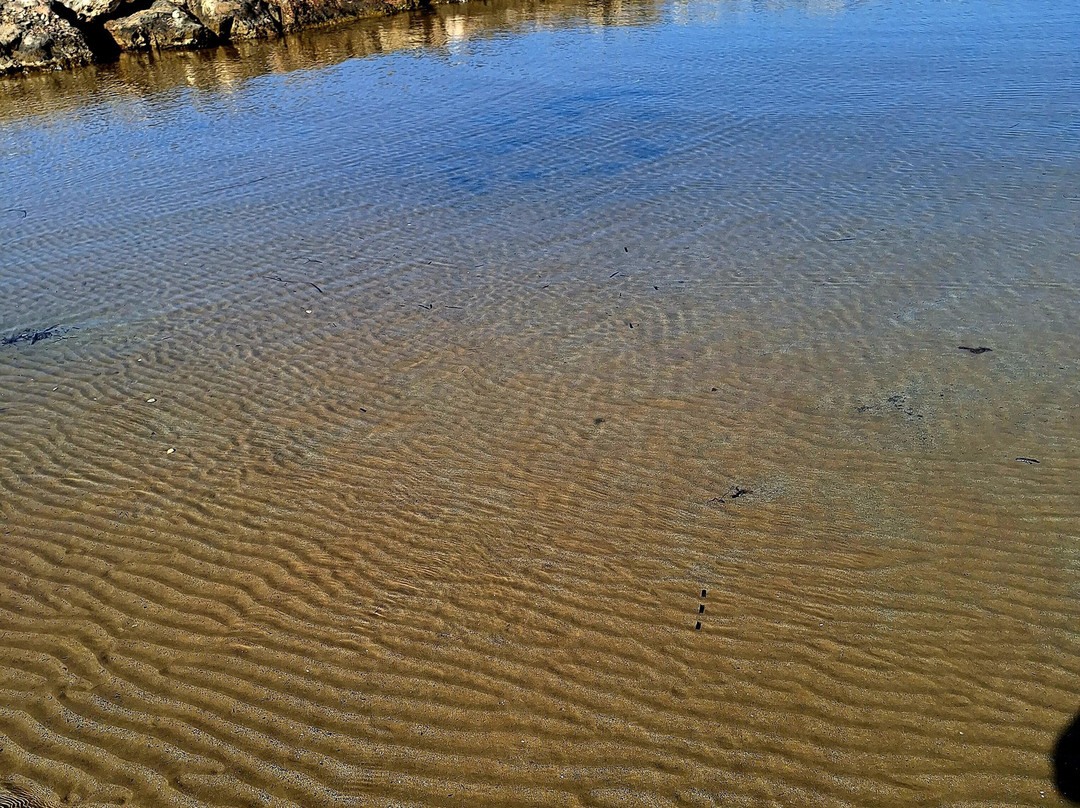 Punta Cirica o Cozzo Ciriga景点图片