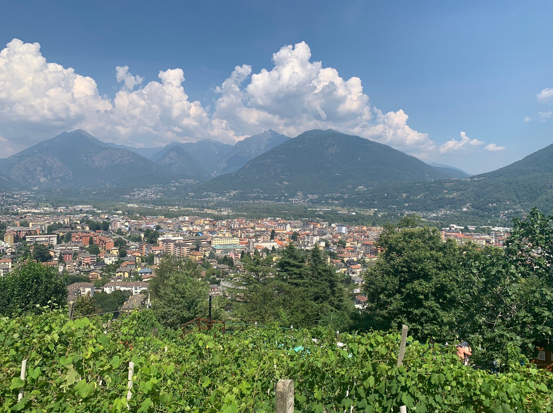Azienda Vitivinicola Edoardo Patrone景点图片