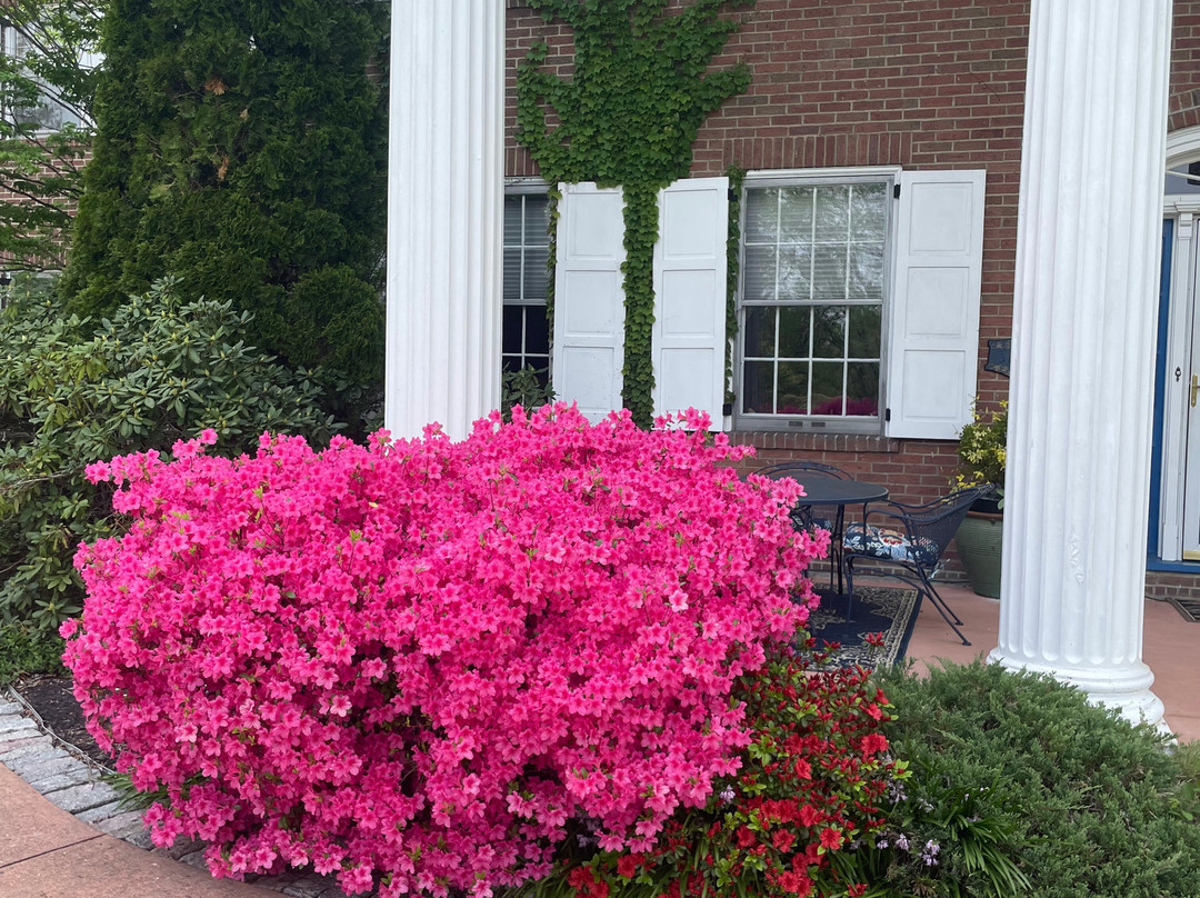 The Inn at Solvang主图