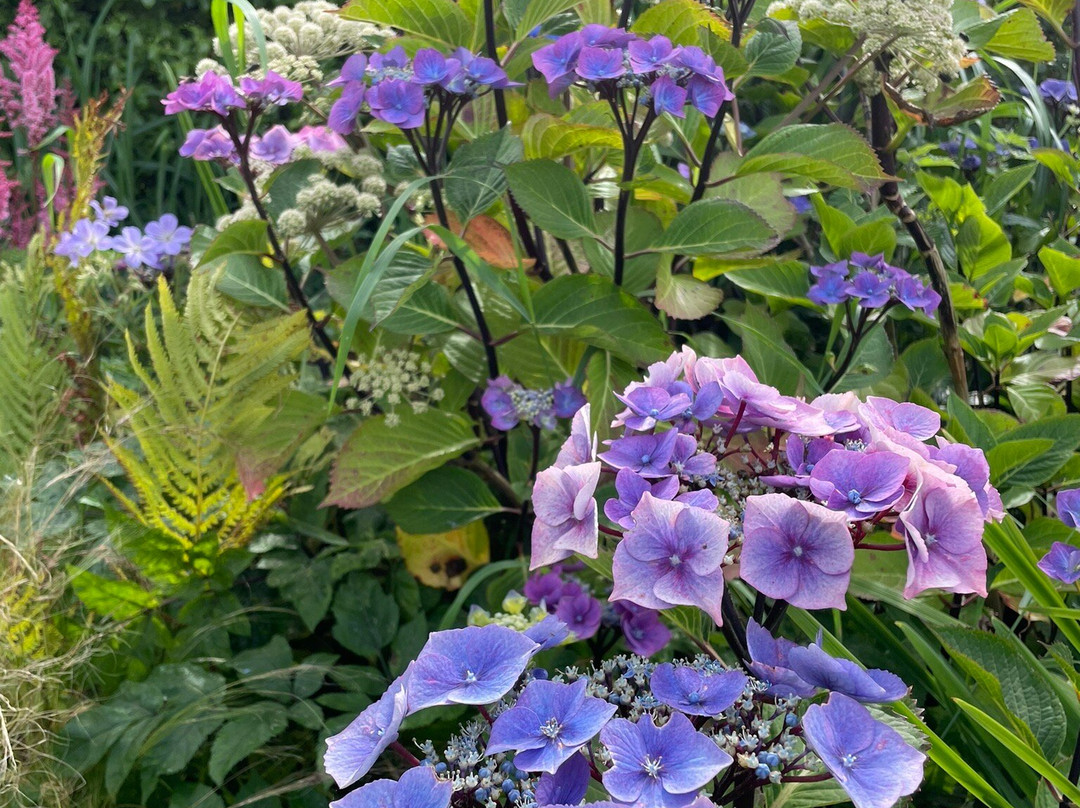 Kilcoan Gardens景点图片