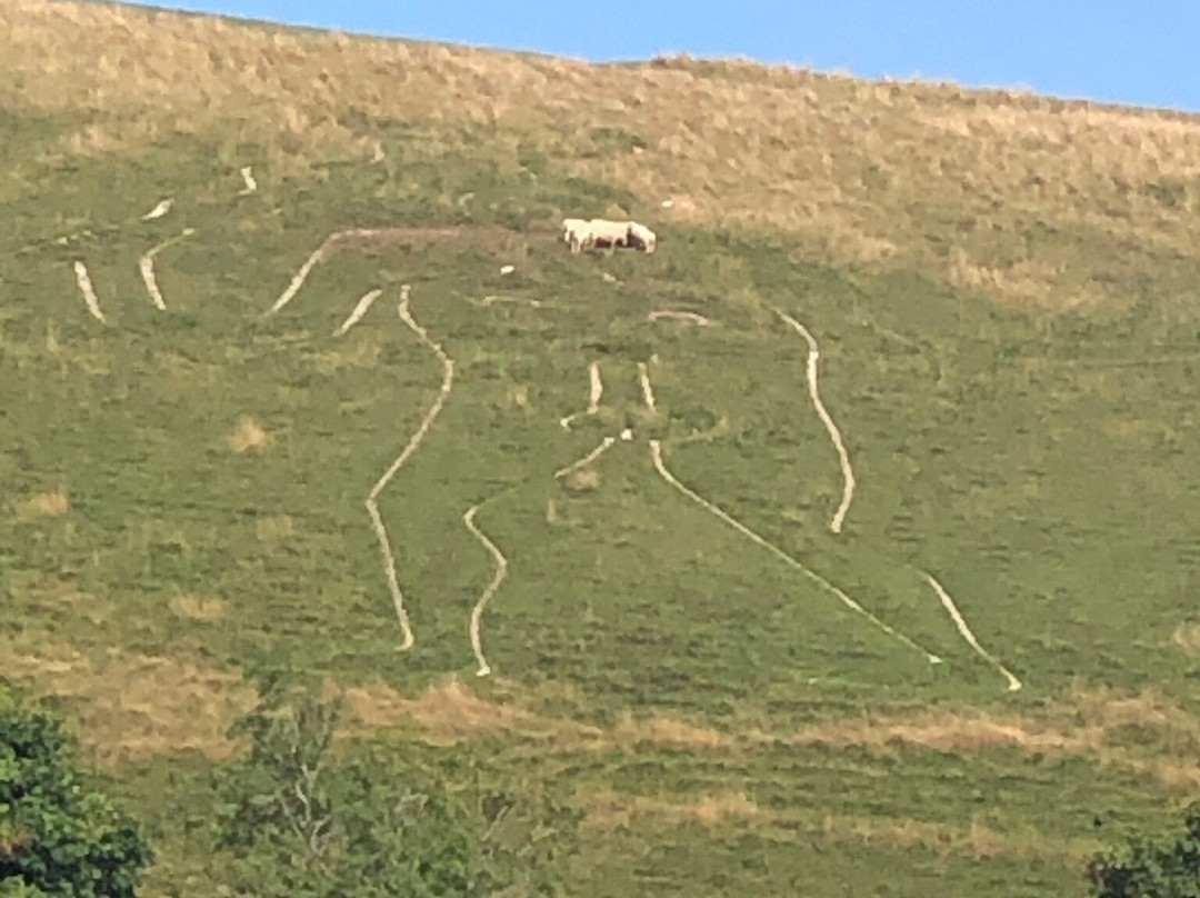 Cerne Abbas Giant景点图片