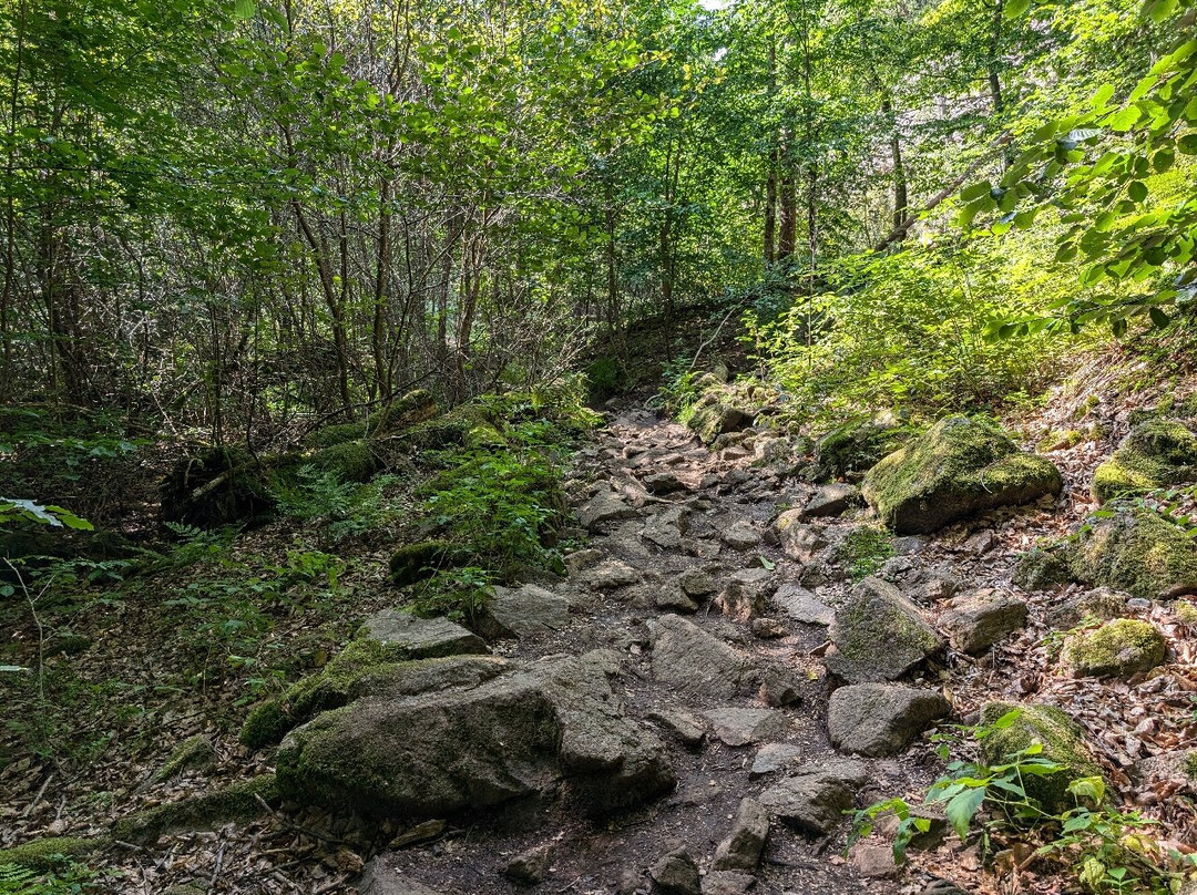 Soderasens National Park-斯科讷必去景点