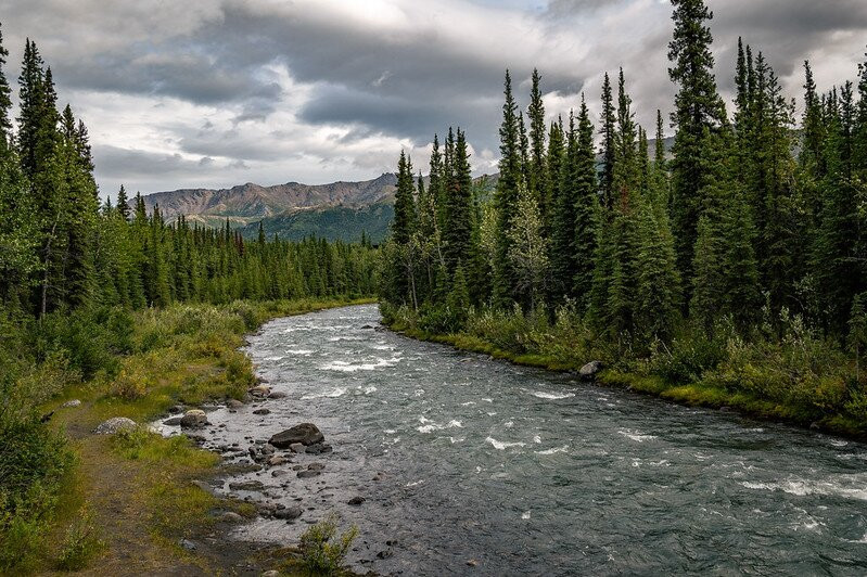 Northern Epics-Denali Park必去景点