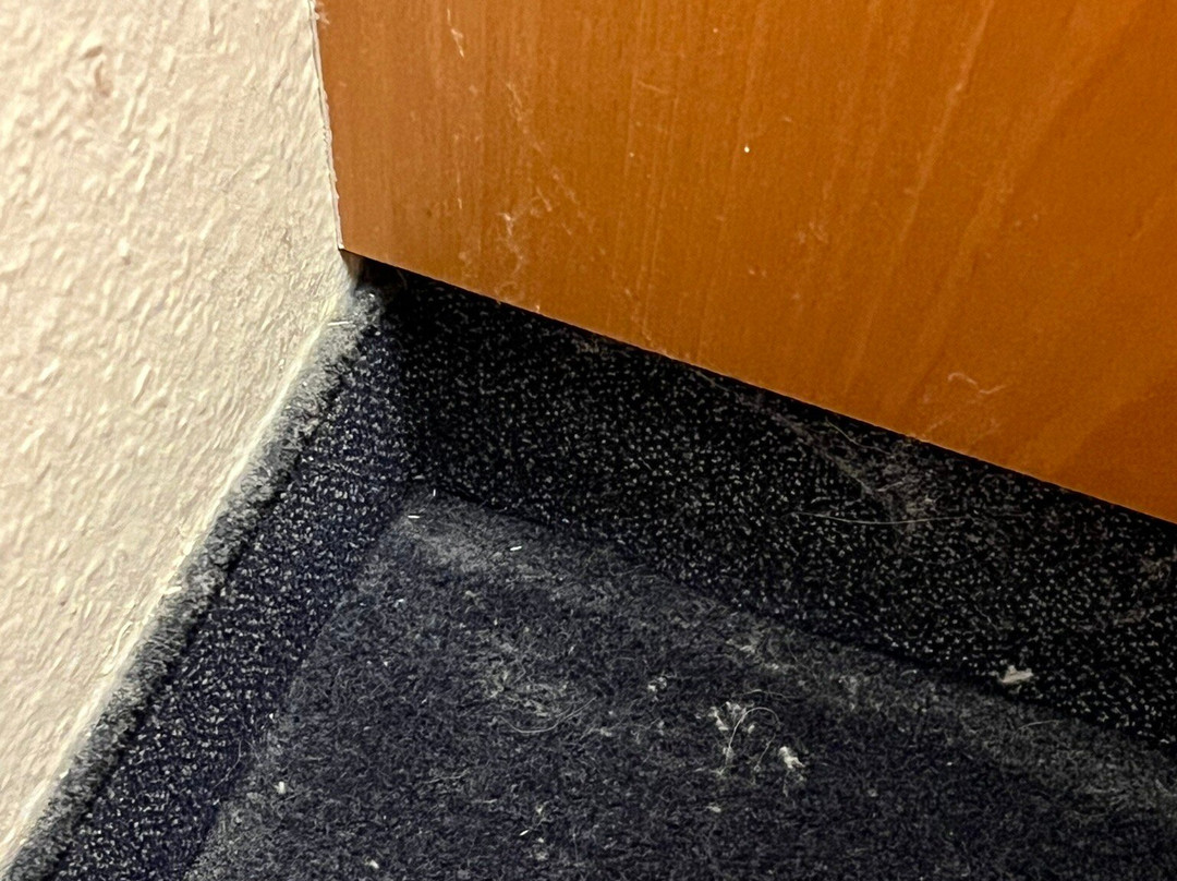 B&B HOTEL Passau-Süd主图