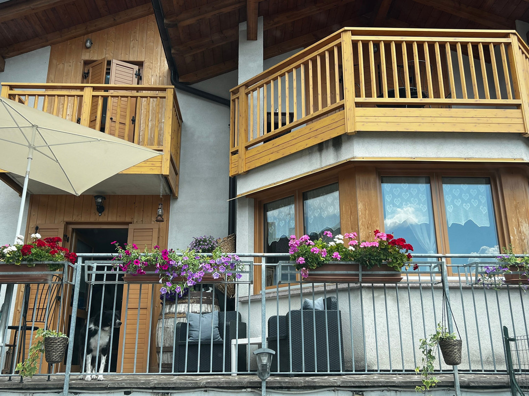 B&B La Bottega主图