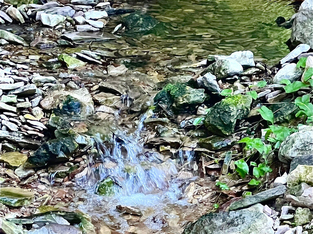 Acqua e Faggi景点图片