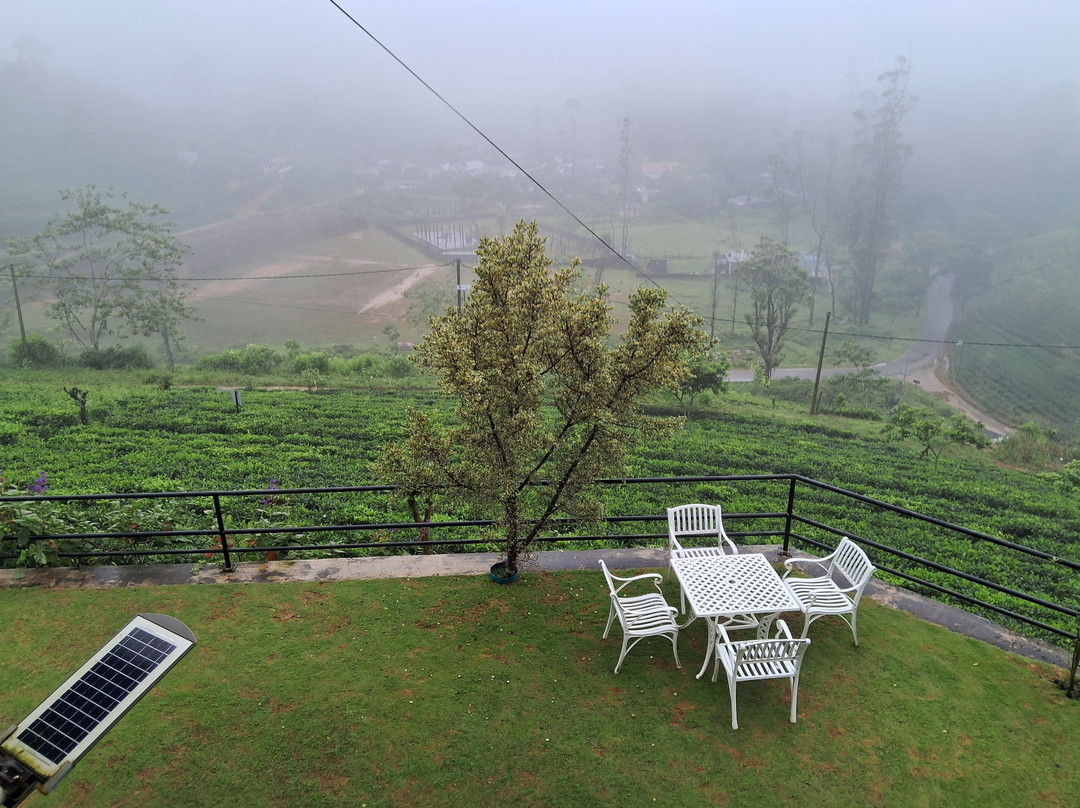 Harrington Heritage主图