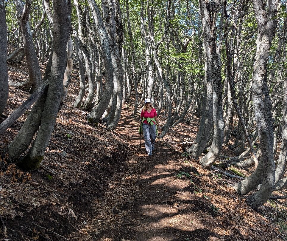 Pista Direttissima del Monte Pratello-Rivisondoli必去景点