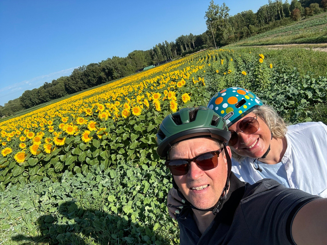 Loire Life Cycling Holidays景点图片
