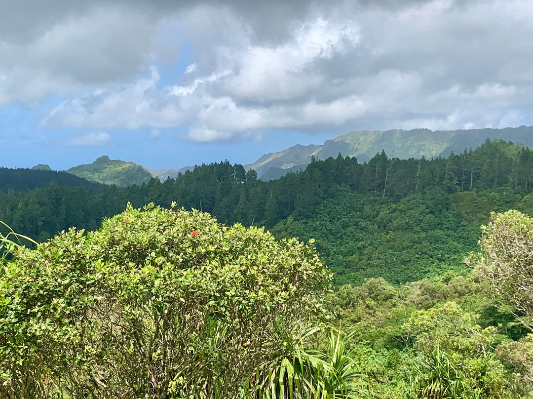 Vaimo'u Excursion-Taiohae必去景点