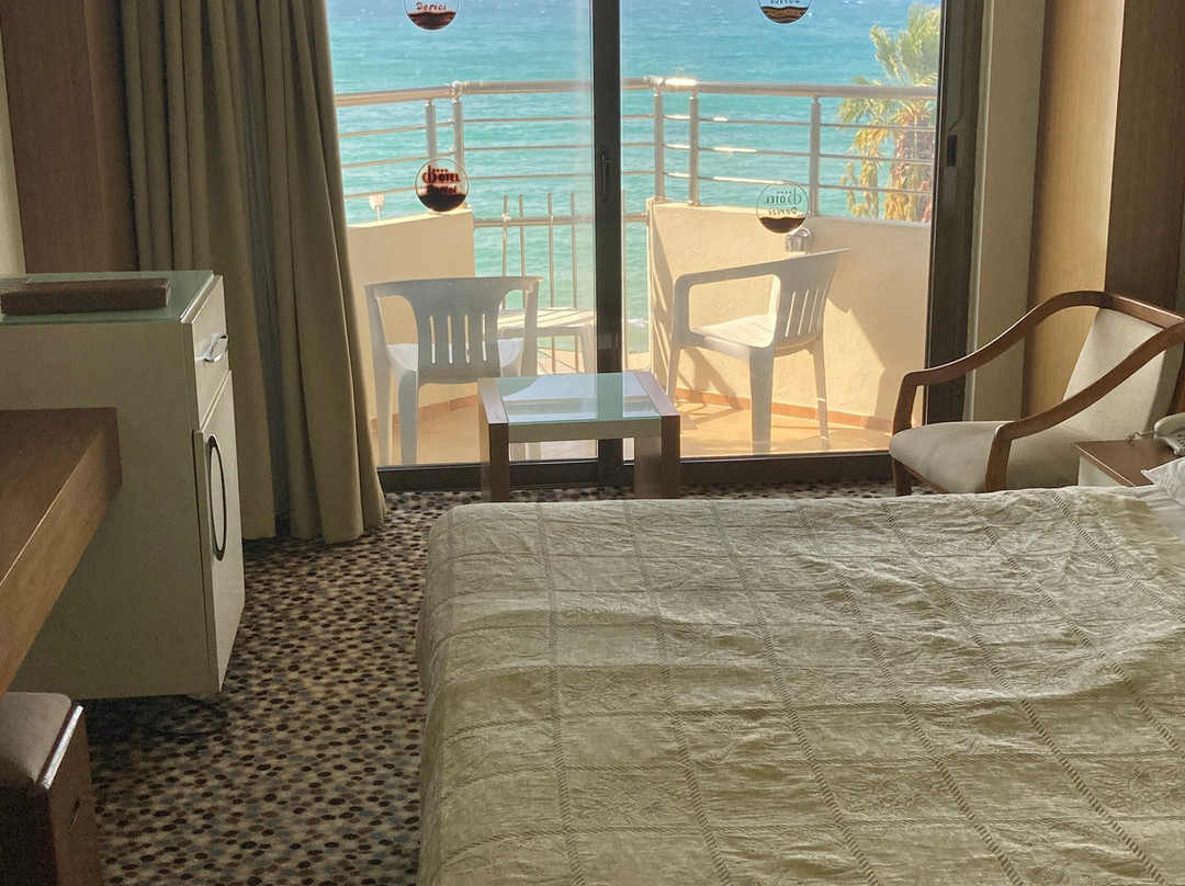 德里奇酒店主图