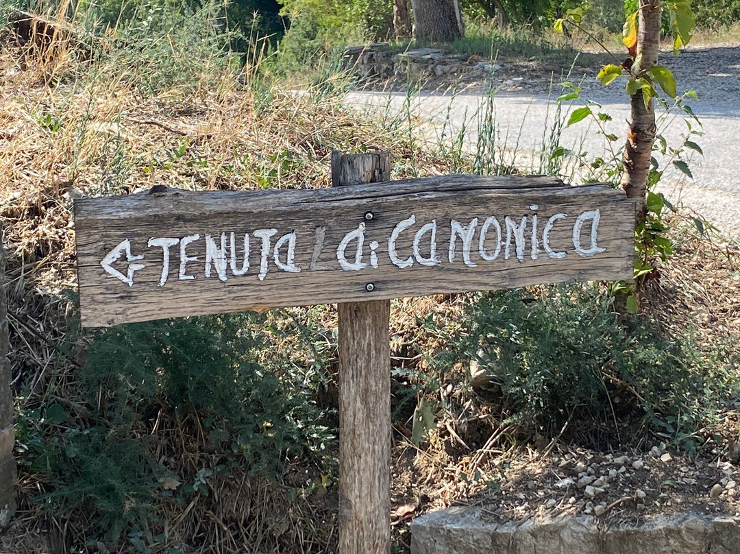 Tenuta Di Canonica主图