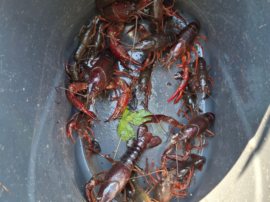 Le Petit Paradis主图