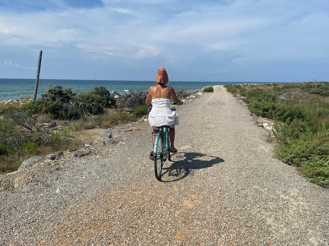 La Biciclettaia Rental Bike景点图片