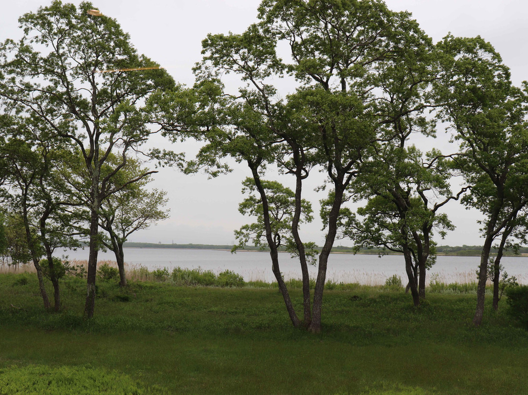 Lake Utonai Wildlife Conservation Center景点图片