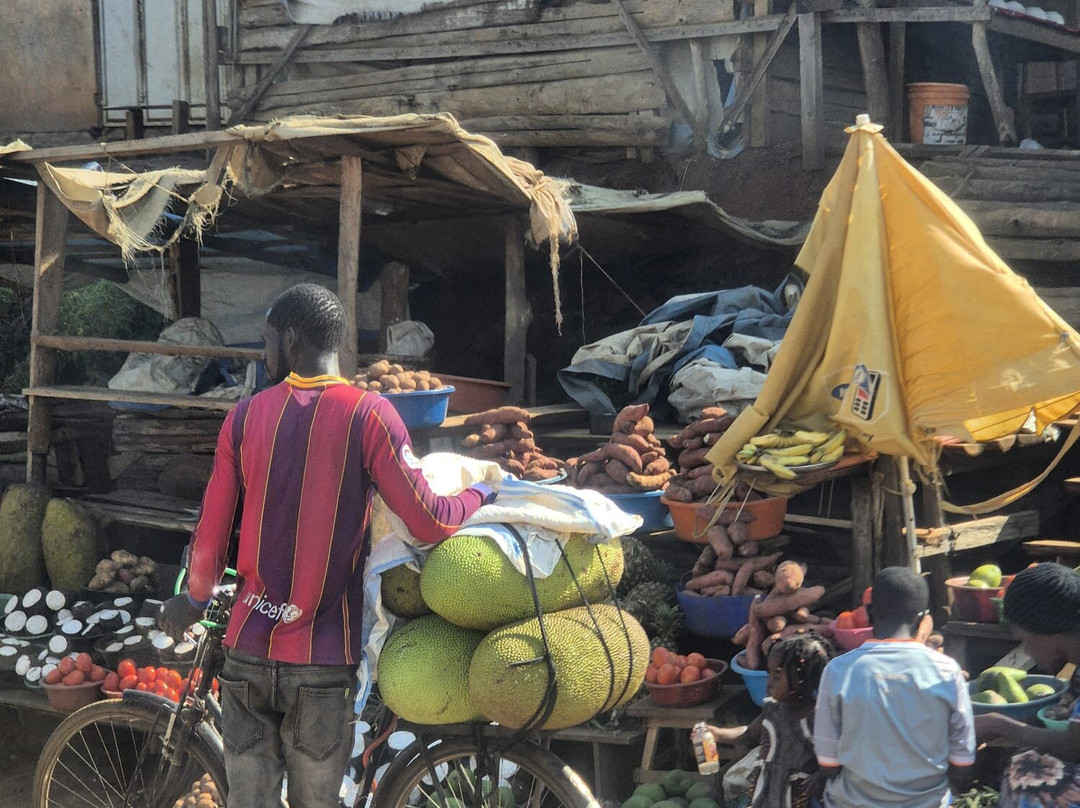 Exclusive African Safaris-Wakiso必去景点