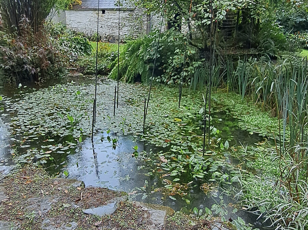 Llwyngarreg Garden景点图片
