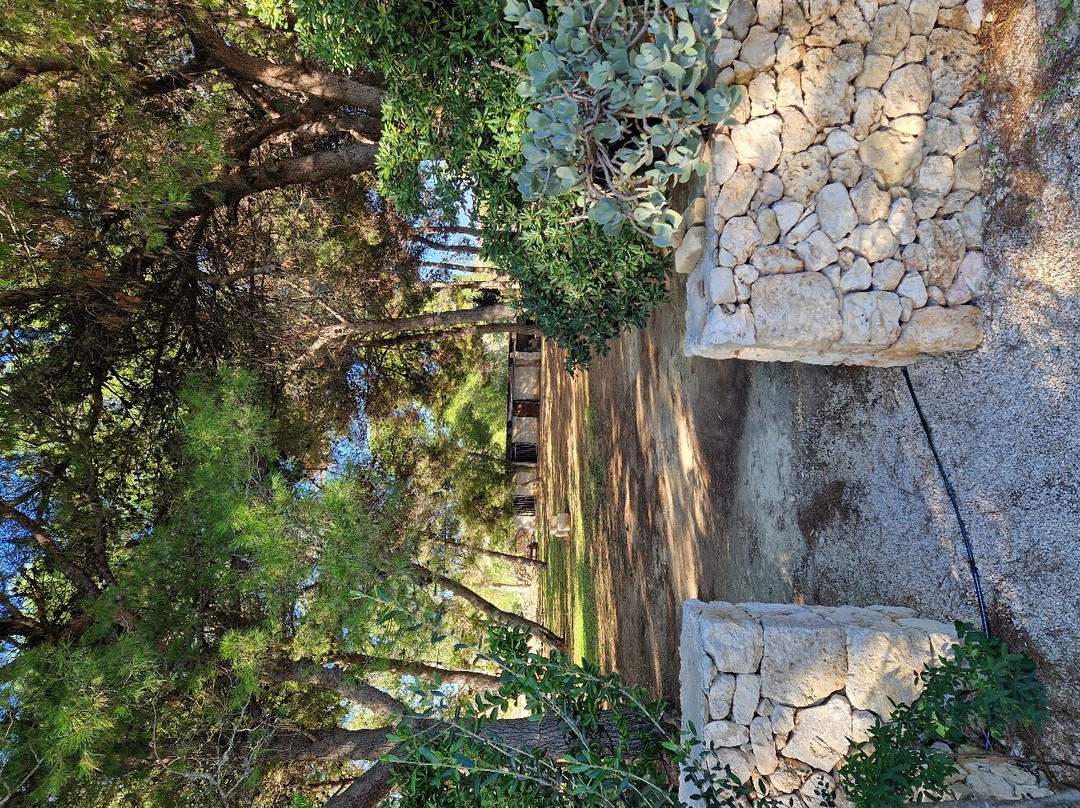 Agriturismo Masseria Terra di Otranto主图