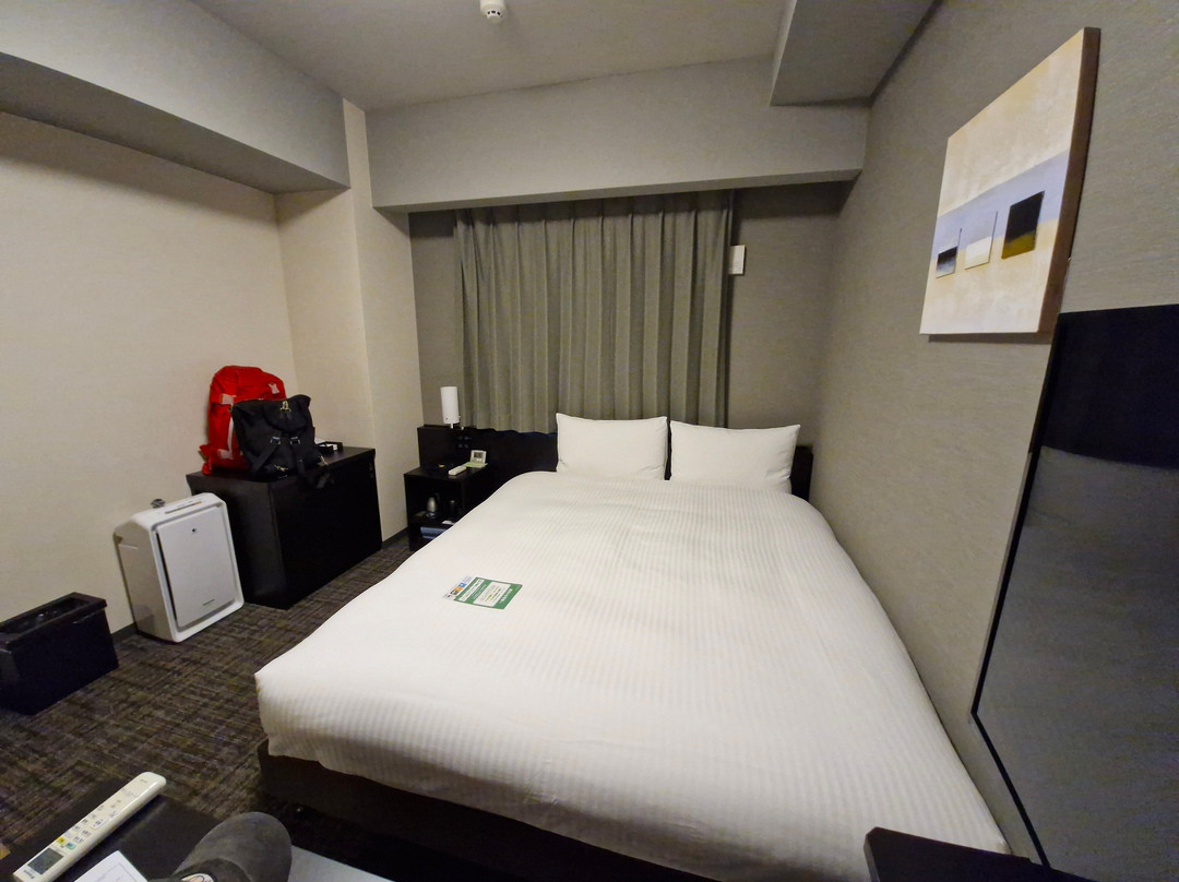 Hotel Route-Inn Grand Tokyo Asakusabashi主图