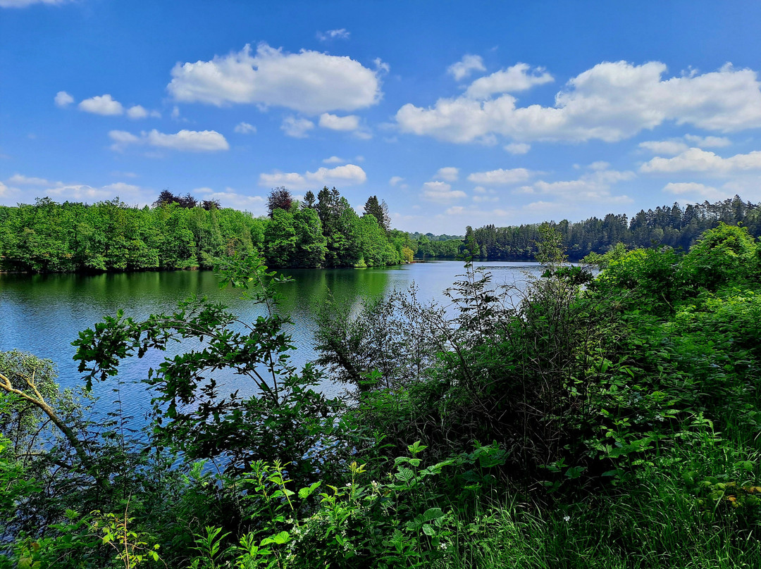 Lac de Robertville景点图片