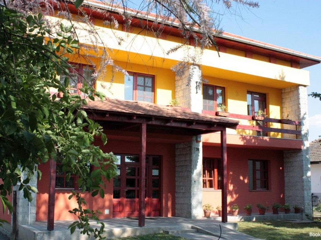 5 Puttonyos Vendeghaz主图