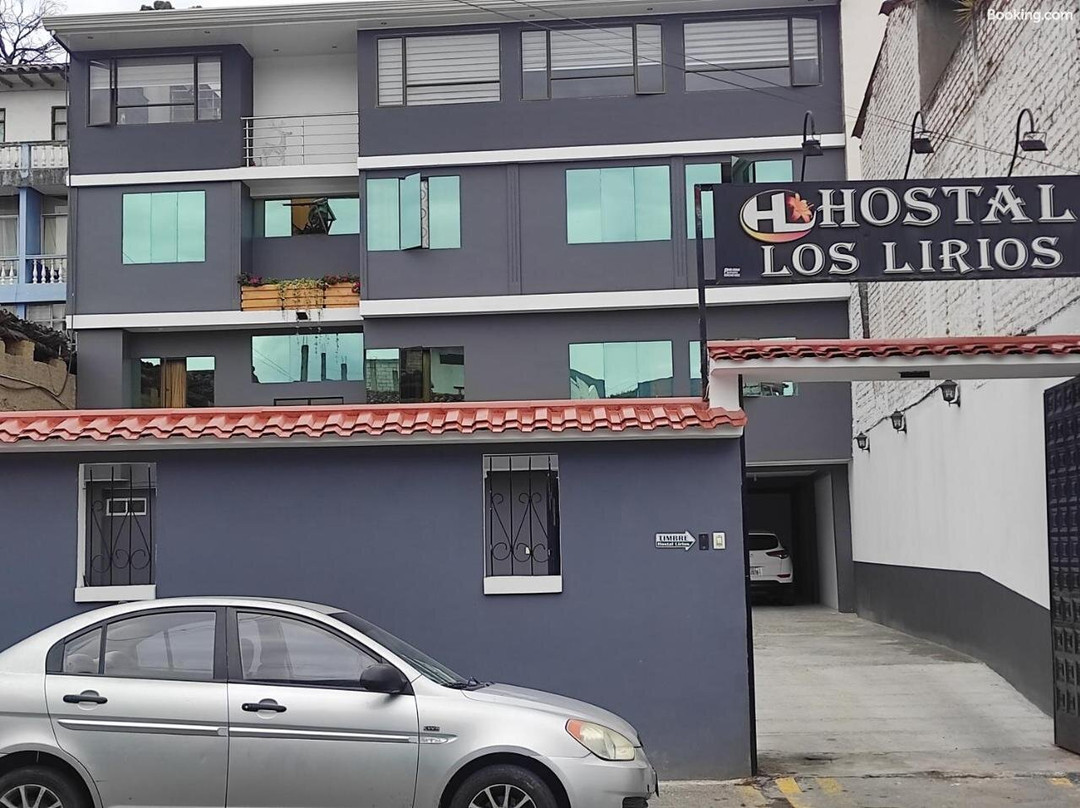 Hostal Los Lirios主图