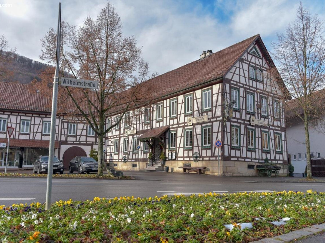 Hotel Ristorante Rostica主图