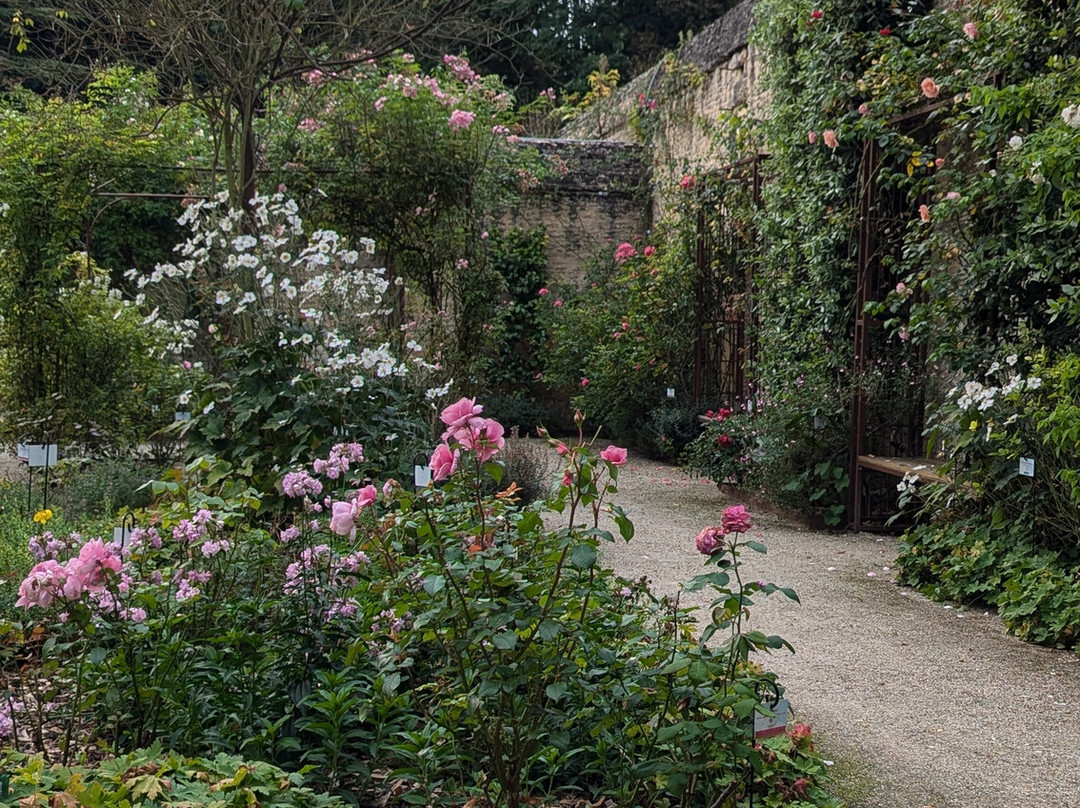 Jardins du Chateau de Canon景点图片