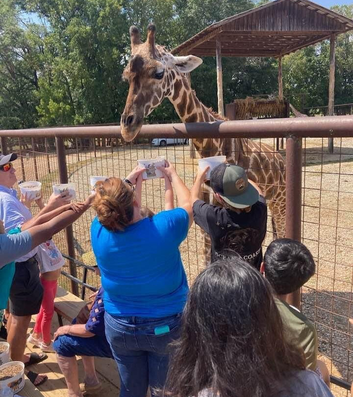 The Lazy 5 Ranch-穆尔斯维尔必去景点