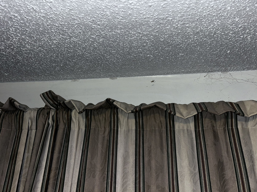 庄园汽车旅馆主图