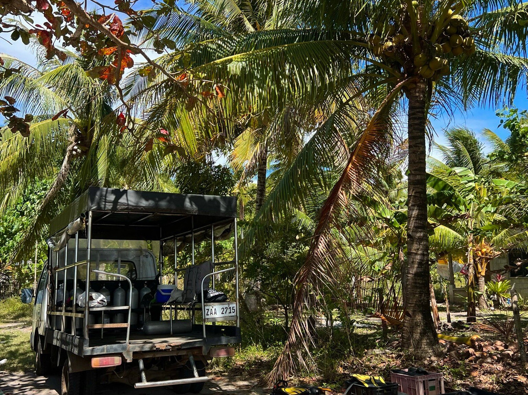 Marine Conservation Philippines-桑博安吉塔必去景点