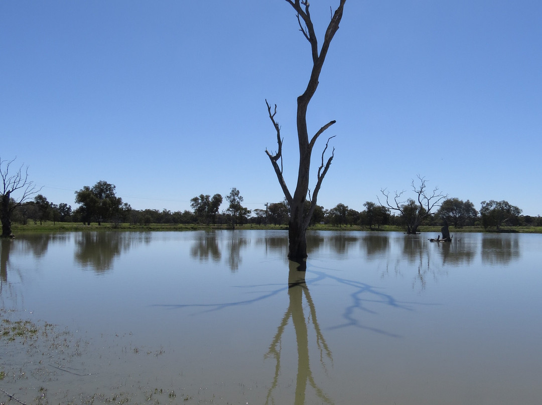 Tiger Bay Wetlands-Warren必去景点