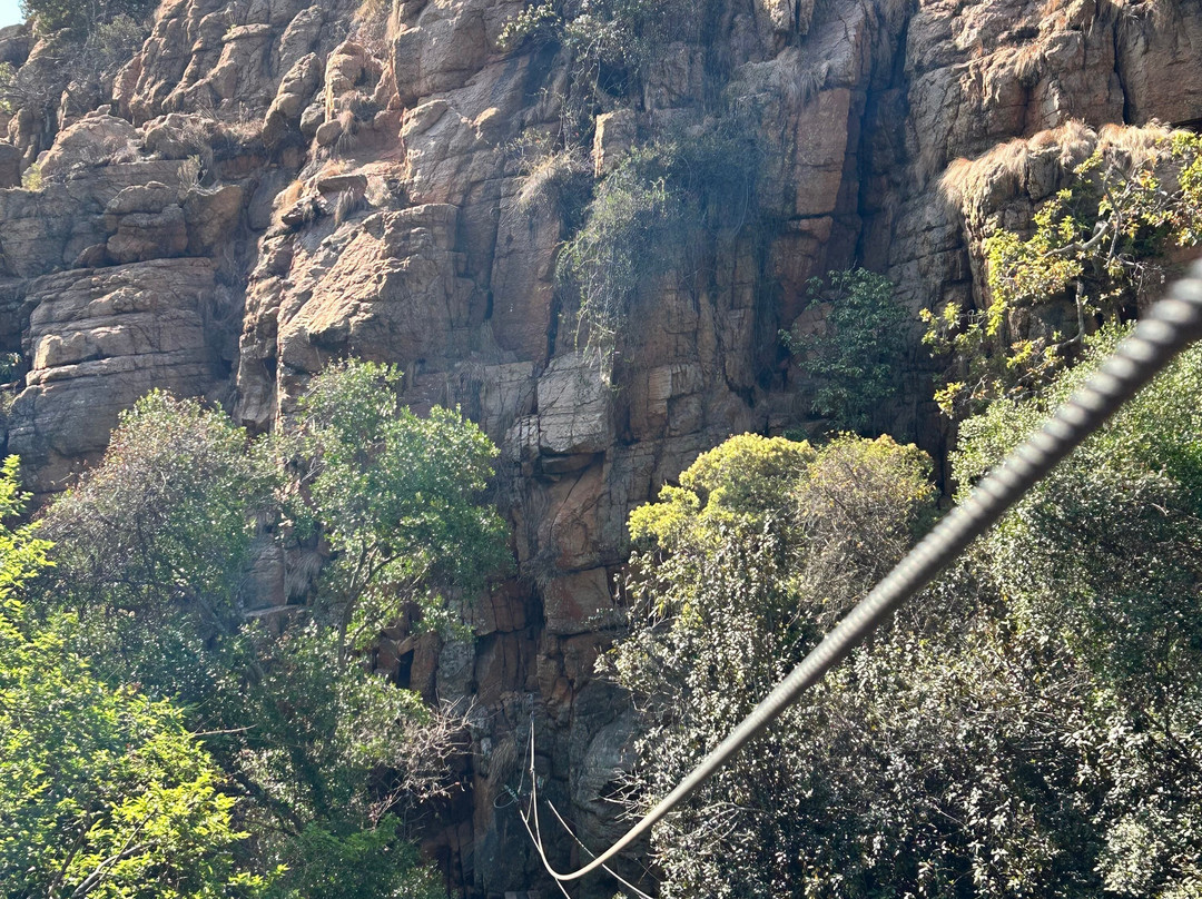 Magaliesberg Canopy Tour-鲁斯登堡必去景点