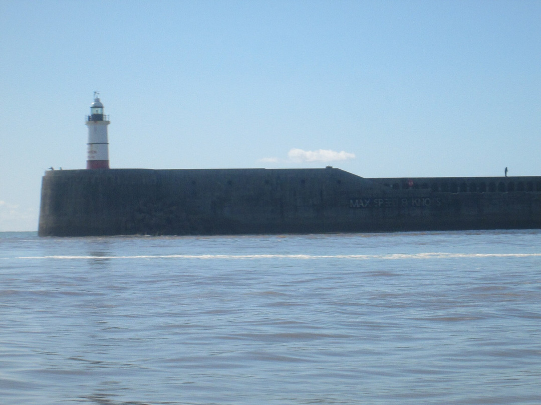 Sussex Boat Trips景点图片