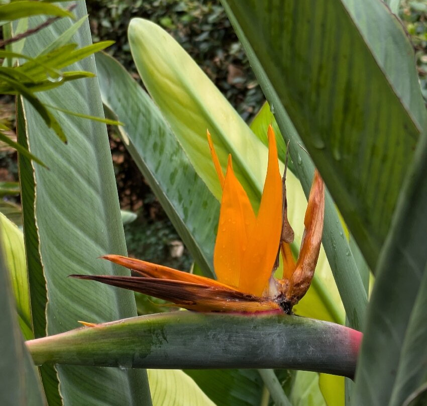 枫树农场住宿加早餐旅馆主图