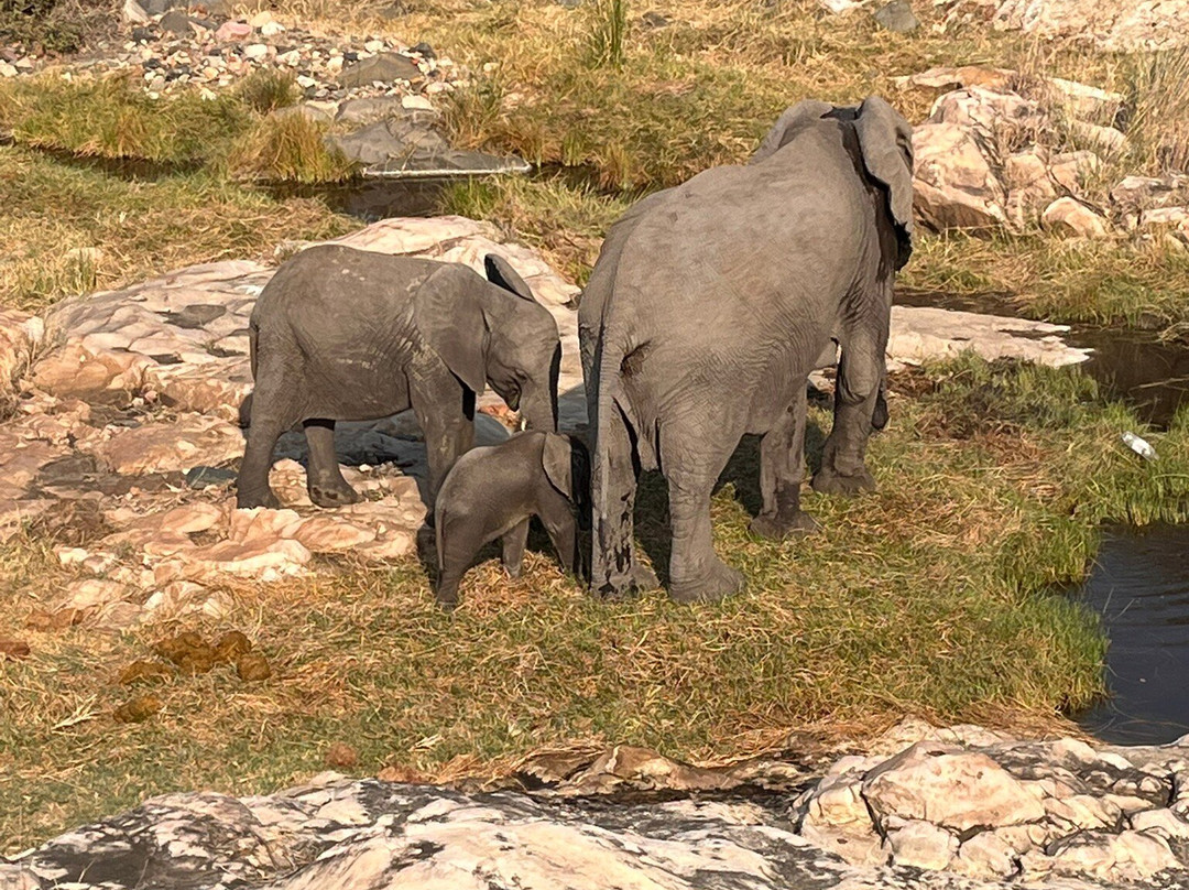 Osprey Tours & Shuttles-霍德斯普鲁特必去景点