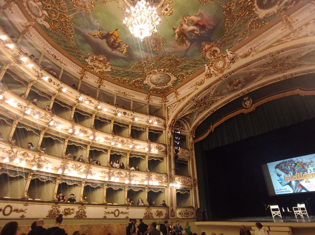 Teatro Comunale景点图片
