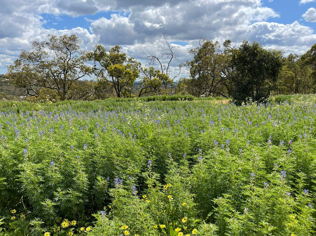 John Forrest National Park-Greater Perth必去景点