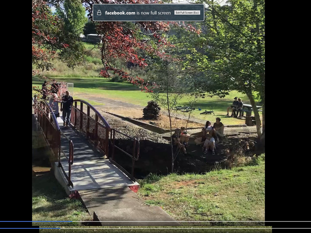 Reedy Creek Park景点图片