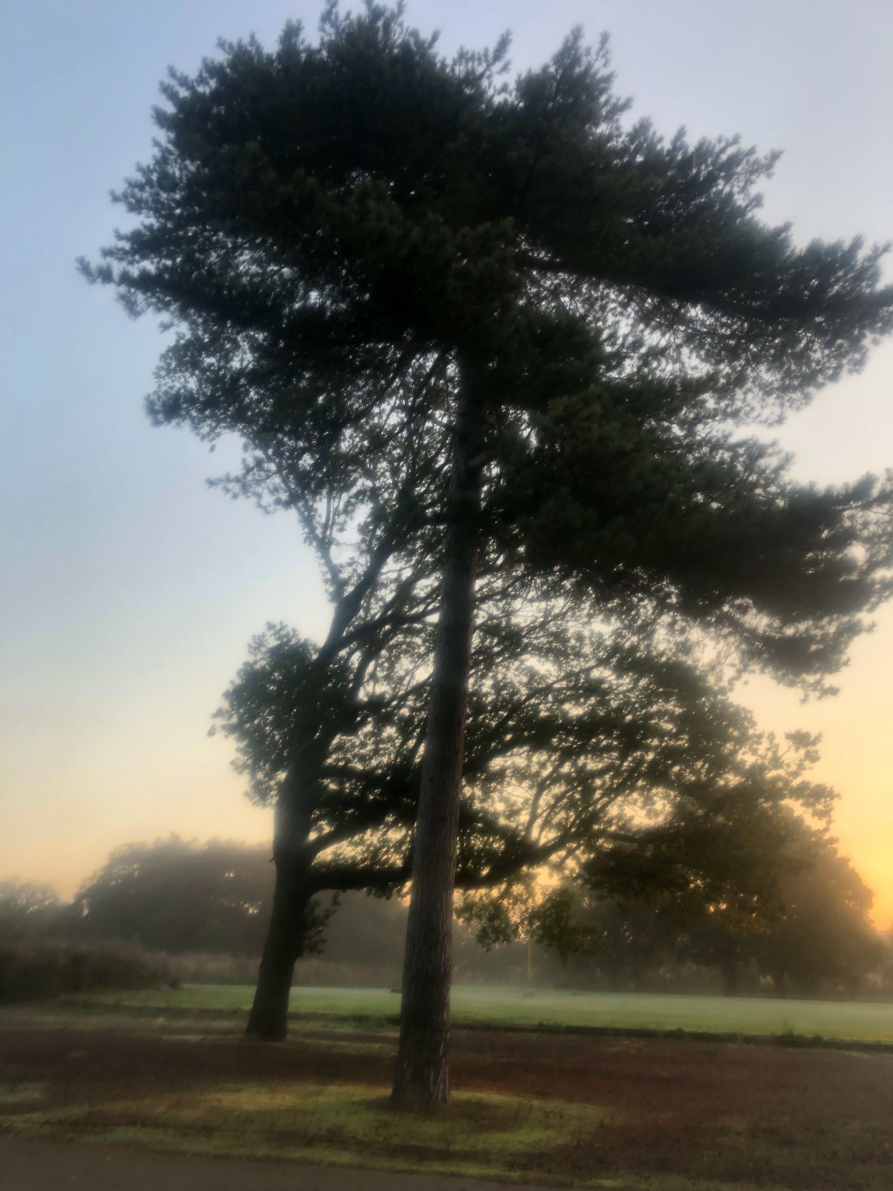 Orsett Hall Hotel, Restaurant & Spa-浴室