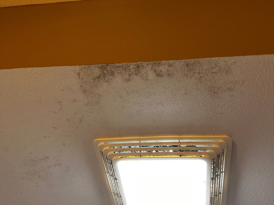 Camellia Rose Inn主图