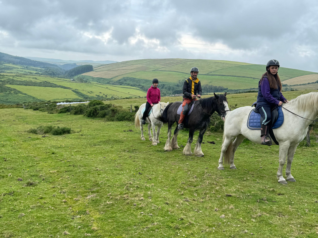 Ballahimmin Riding & Pony Trekking Centre-马恩岛必去景点